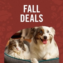 Fall Deals