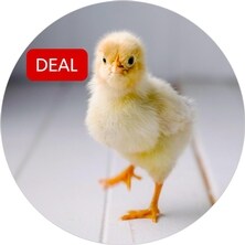 Farm Animal Deals