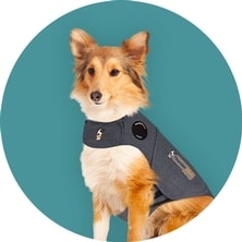 Dog Anxiety Vests & Apparel