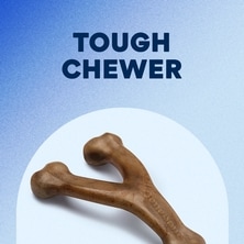 Tough Chewer