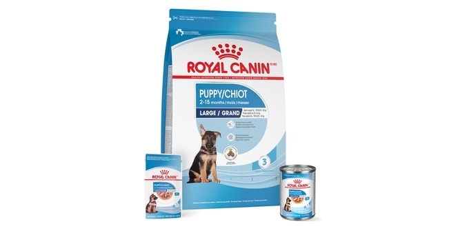 ROYAL CANIN Size Health Nutrition Large Puppy Dry Dog Food, 30-lb bag ...