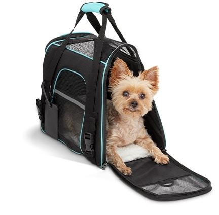 FRISCO Basic Dog & Cat Carrier Bag, Black, Teal Trim, Medium/Large 