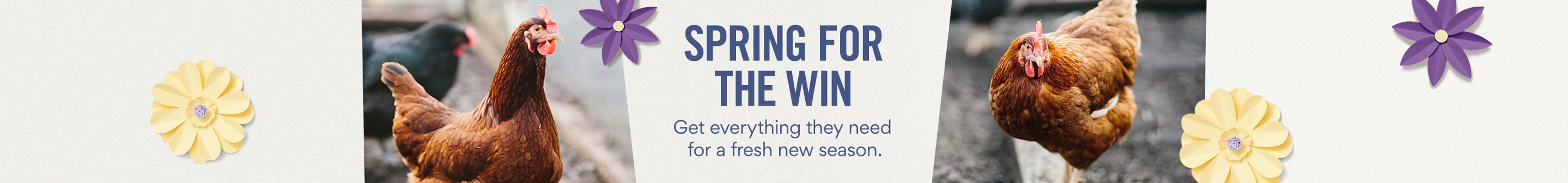 Spring for the win: Get Everything they need for a fresh new season