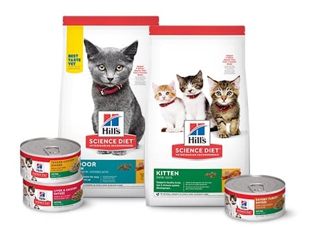 Worstelen Ongemak Beschuldigingen HILL'S SCIENCE DIET Kitten Healthy Development Chicken Recipe Dry Cat Food,  7-lb bag - Chewy.com