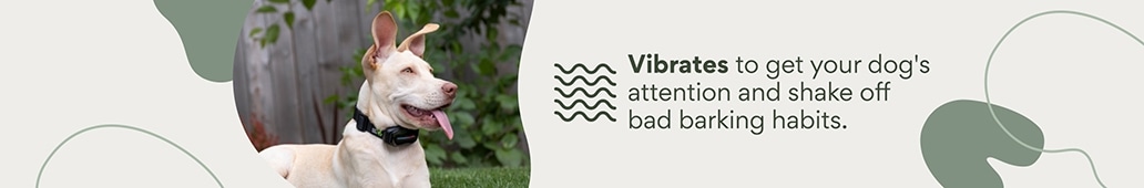 Vibrates to get your dog's attention and shake off bad barking habits.