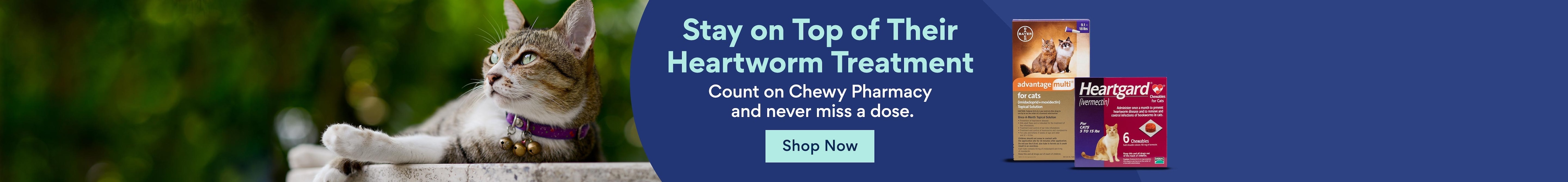 Stay on top of their heartworm treatment. Count on Chewy Pharmacy and never miss a dose.