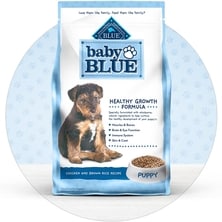 Baby Blue Puppy