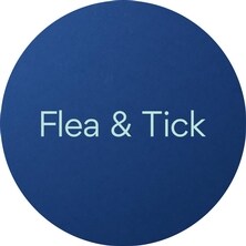 Dog Flea & Tick