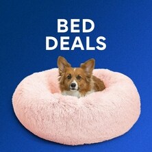 Top Bed Deals