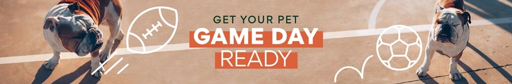 Get Your Pet Game Day Ready