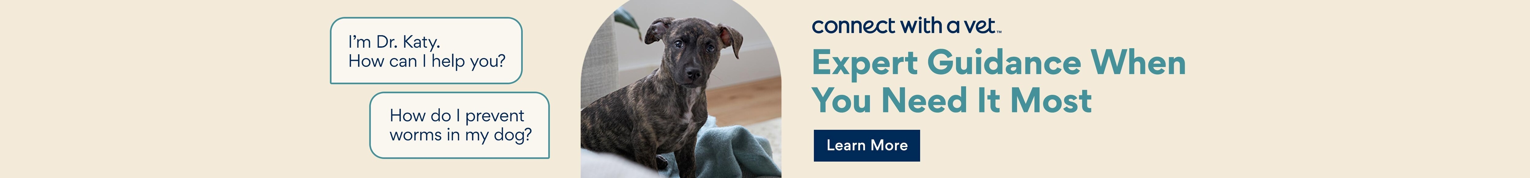 Connect with a Vet. Expert guidance when you need it most. Learn More.