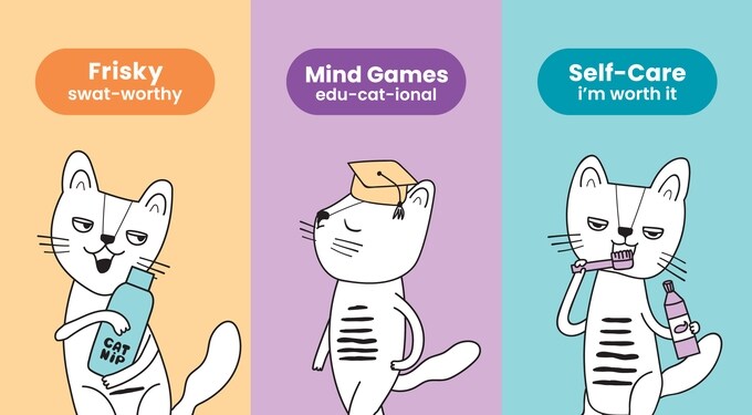 Nina Ottosson nina ottosson 90003 cat treat maze interactive puzzle mental  stimulation brain game for cats