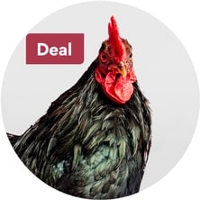 Farm Animal Deals
