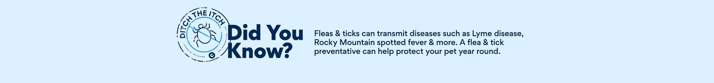 Did you know? Fleas and ticks can transmit diseases such as Lyme disease, Rocky Mountain spotted fever and more. A flea and tick preventative can help protect your pet year round.