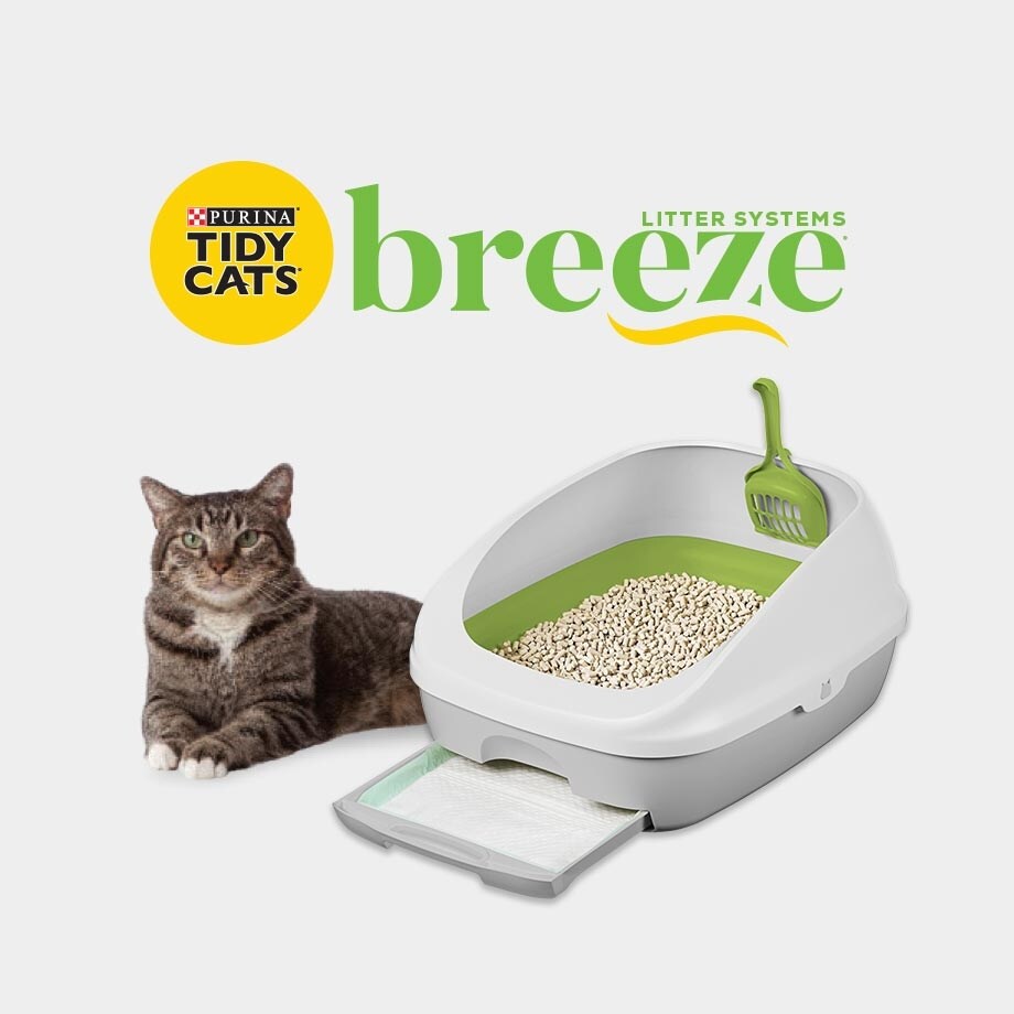 Tidy Cats: Cat Litter (Free Shipping) | Chewy
