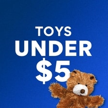 Toys Under $5