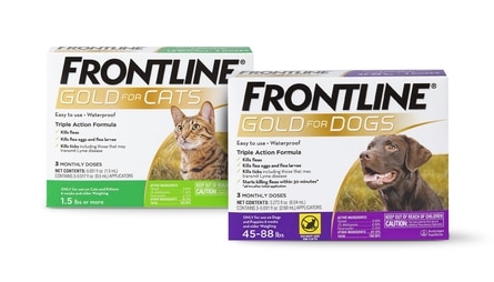 FRONTLINE GOLD FOR CATS FLEA TICK TOPICAL SOLUTION 3-COUNT Rosie Bunny ...