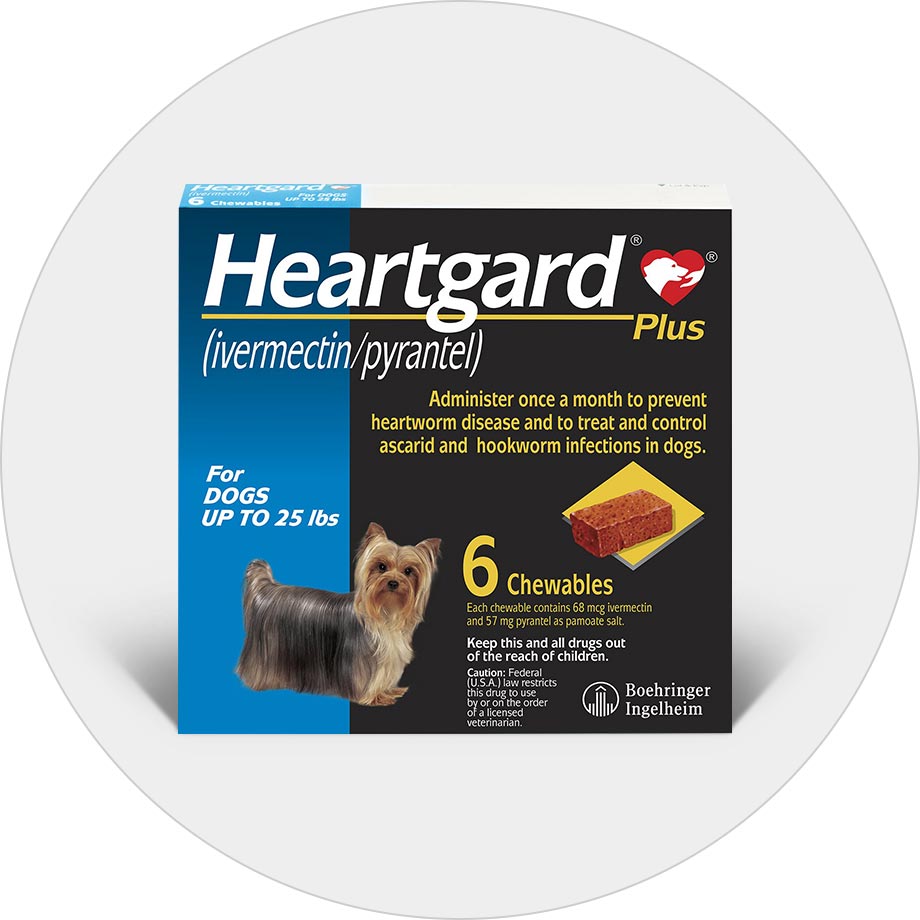 how much is heartworm prevention for dogs