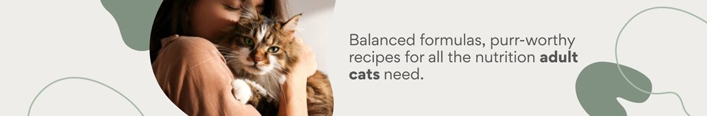 Balanced formulas, purr-worthy recipes for all the nutrition adult cats need.