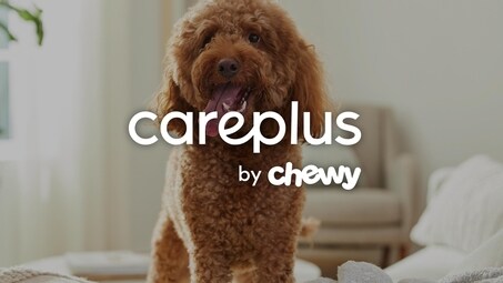 CarePlus by Chewy