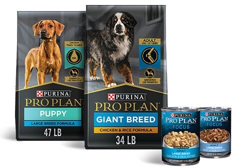 Purina Pro Plan High Protein Chicken & Rice Formula Large Breed Dry Puppy Food