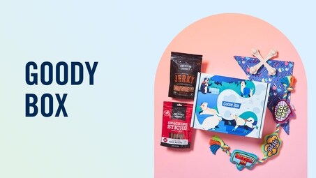 Chewy Picks: The Best Pet Gifts, New Products & More (Free