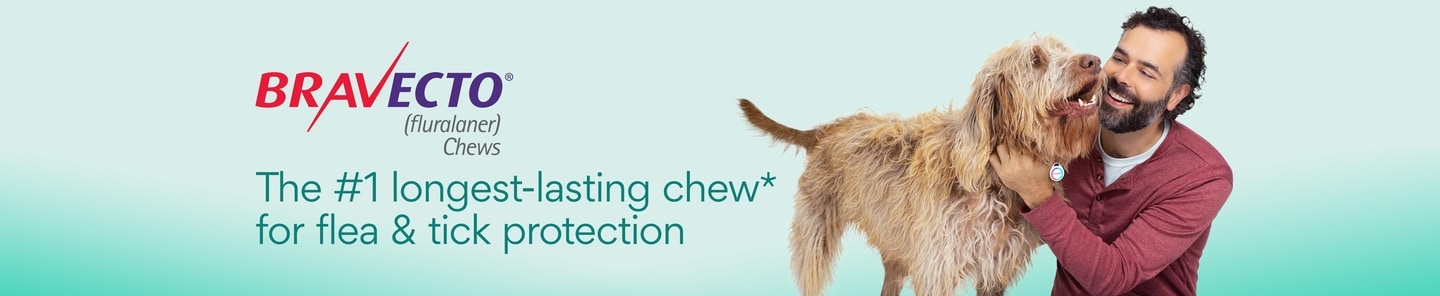 Bravecto (fluralaner) Chews. The number one longest-lasting chew* for flea and tick protection