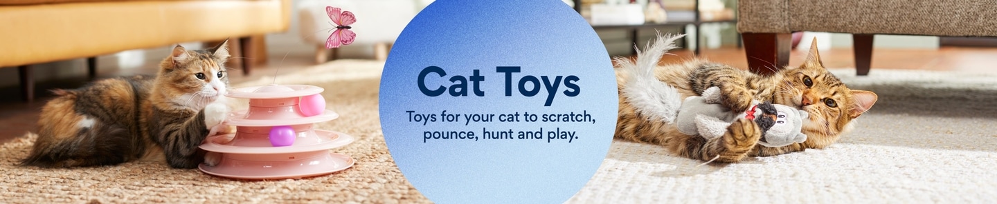cat toys. toys for your cat to scratch, pounce, hunt and play.