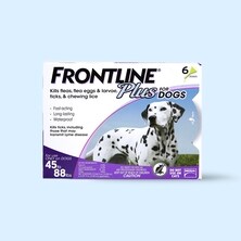 Dog Topical Treatments
