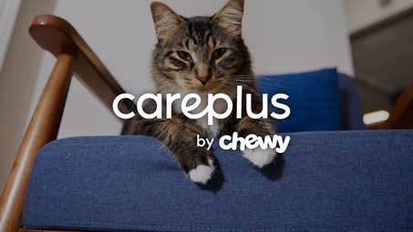 CarePlus Insurance Programs