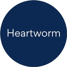 Dog Prescription Heartworm