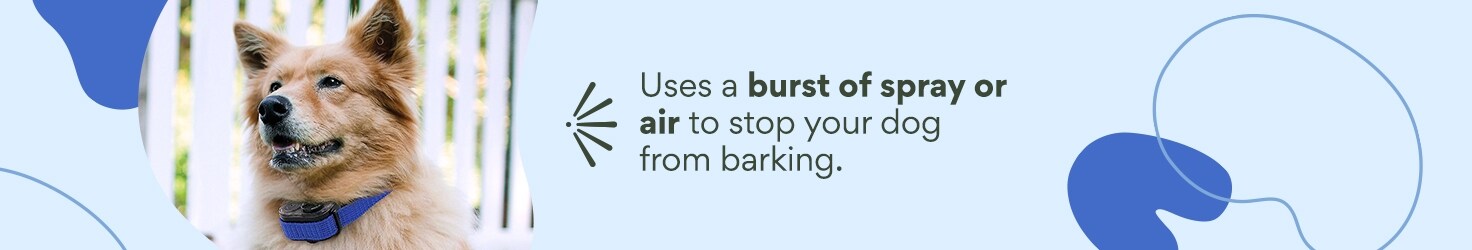 Uses a burst of spray or air to stop your dog from barking.