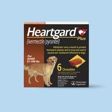 Dog Heartworm Prevention