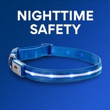 Nighttime Safety