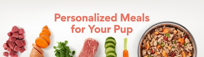 Personalized Meals for Your Pup