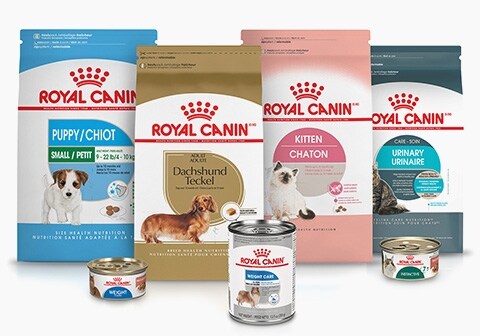 ROYAL CANIN Feline Breed Nutrition Persian Kitten Dry Cat Food, 3 