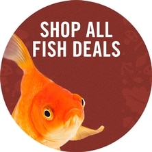 Shop All Fish Deals