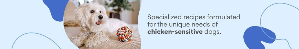 Specialized recipes formulated for the unique needs of chicken-sensitive dogs.
