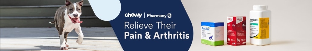 Chewy Pharmacy Relieve Their Pain & Arthritis