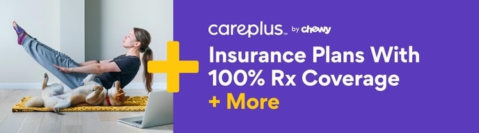 Careplus accident & illlness plans from $30/month
