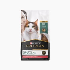 chewy purina cat food