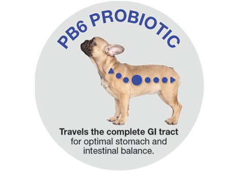 PB6 Probiotic