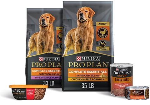 purina pro plan savor shredded beef and rice formula reviews