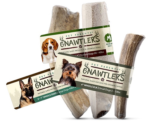 Simply the Best Chews for Dogs