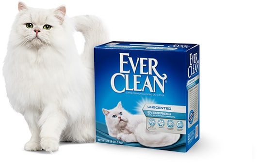 EVER CLEAN Super Premium Low Track Low Dust Fresh Scent Clumping Cat