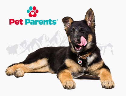 About Pet Parents