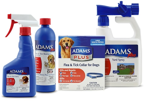 adams flea shampoo reviews