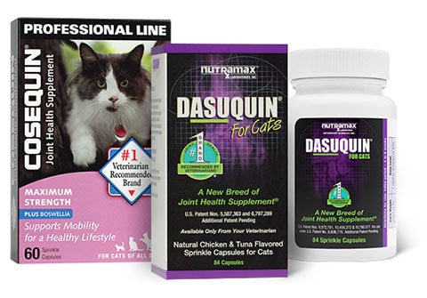 Made to Support Your Cat's Well-Being