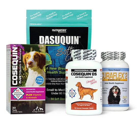 Made to Support Your Dog’s Well-Being
