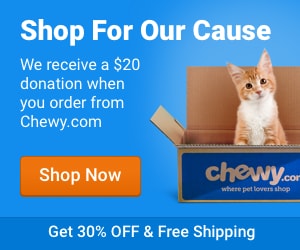 Order your Pet Food at Chewy.com and Feral Feline Friends of East TN will get a $20 donation!